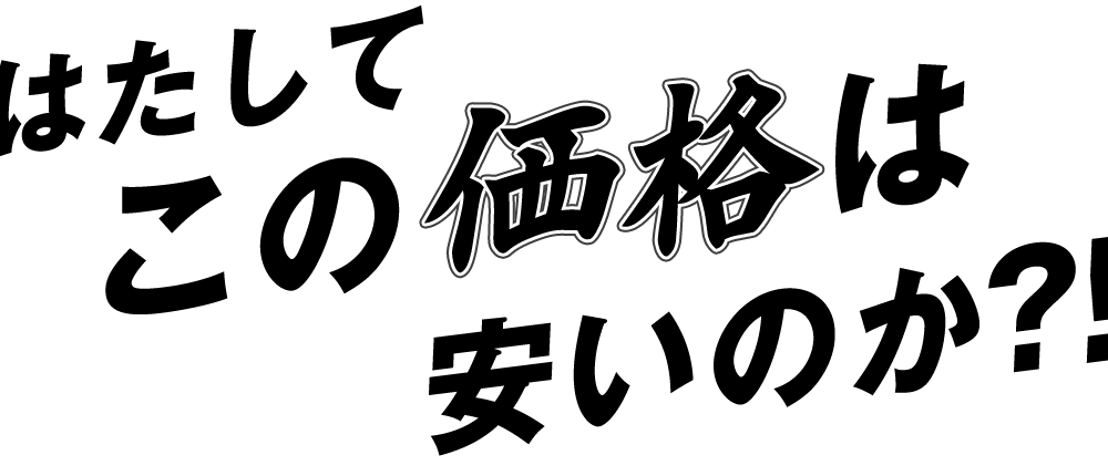 この価格は