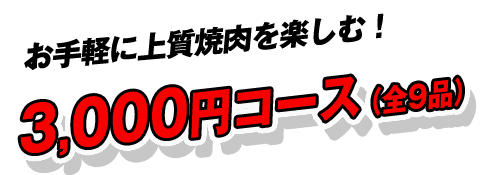 4000円コース（全13品）