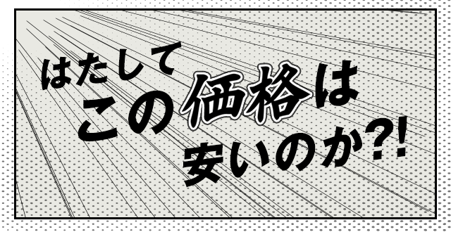 はたしてこの価格は安いのか??