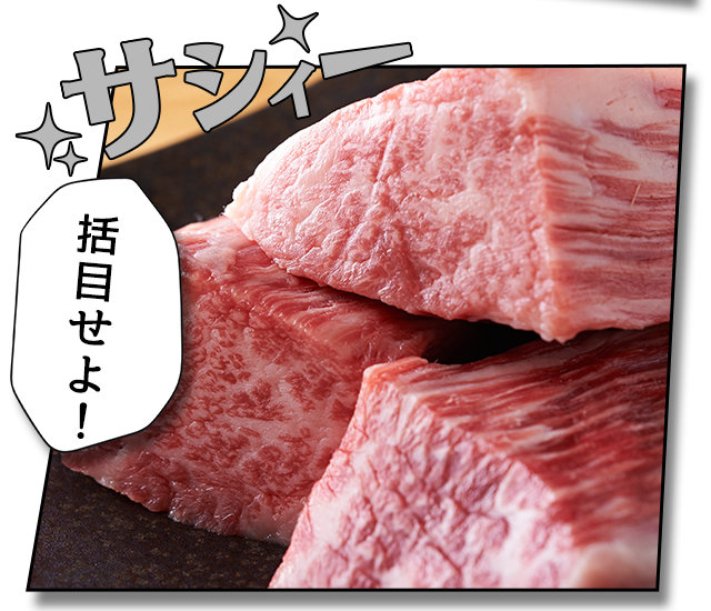 精肉ブロック