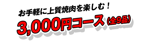 お手軽に上質焼肉を楽しむ！3,000円コース（全9品）